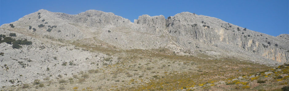 actividades actividades